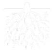 Pictogram showing root stimulation